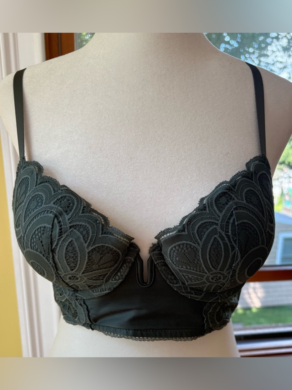 Aerie Show Off Plunge Push Up Rooftop Garden Lace Bra Green Size 32B